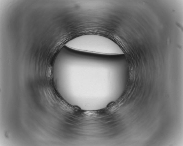 X0000095510477200712140938