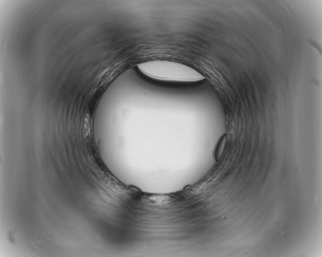 X0000095510478200712140938
