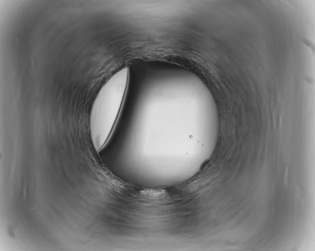 X0000095510480200712140938