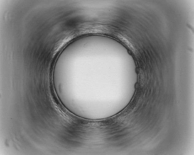 X0000095510482200712140938