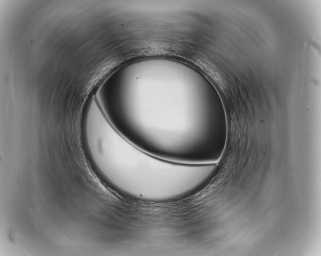 X0000095510485200712140938