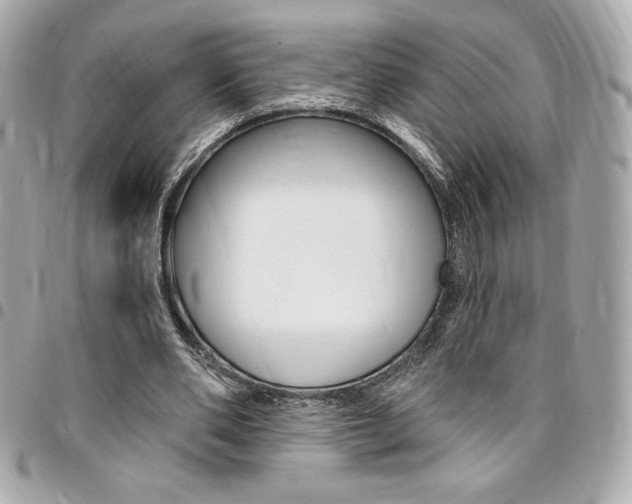 X0000095510486200712140938