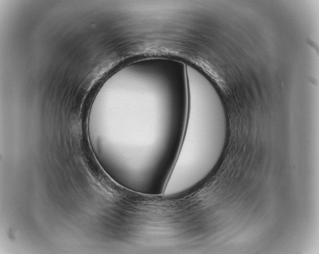 X0000095510488200712140938