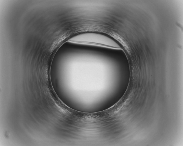 X0000095510489200712140938