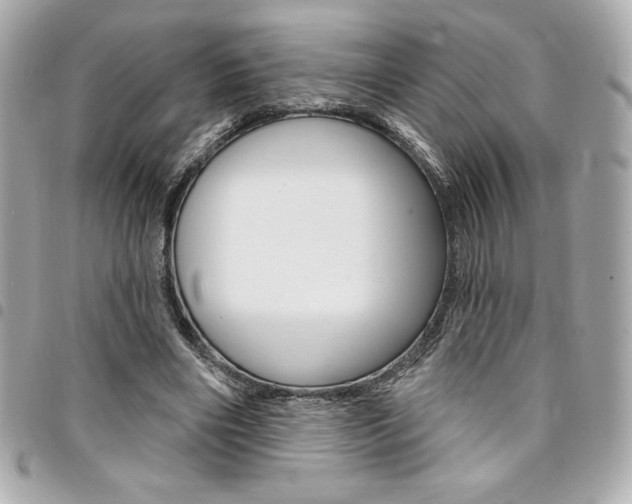 X0000095510490200712140938