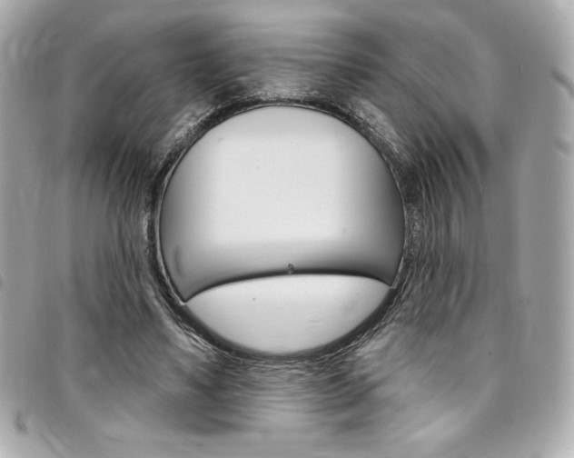 X0000095510491200712140938