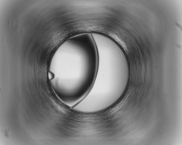 X0000095510493200712140938