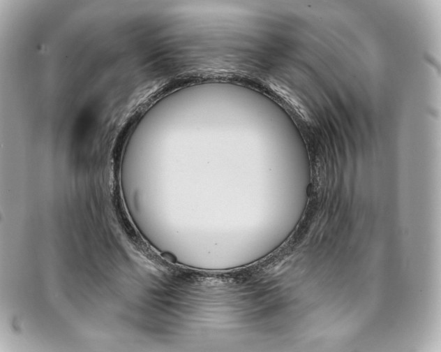 X0000095510494200712140938