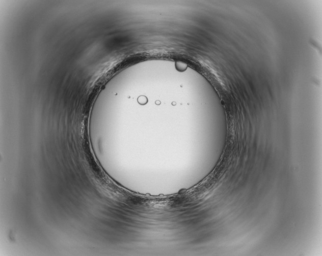 X0000095510495200712140937