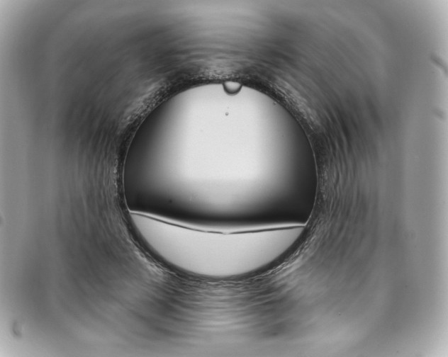 X0000095510497200712140937
