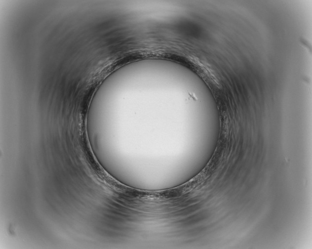 X0000095510498200712140937