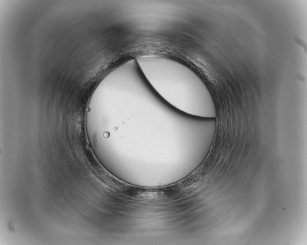 X0000095510499200712140937