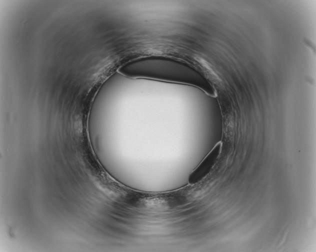 X0000095510500200712140937
