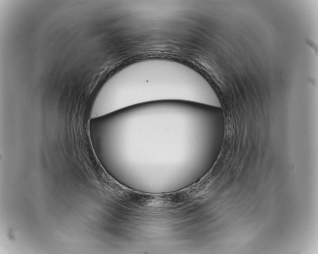 X0000095510504200712140937