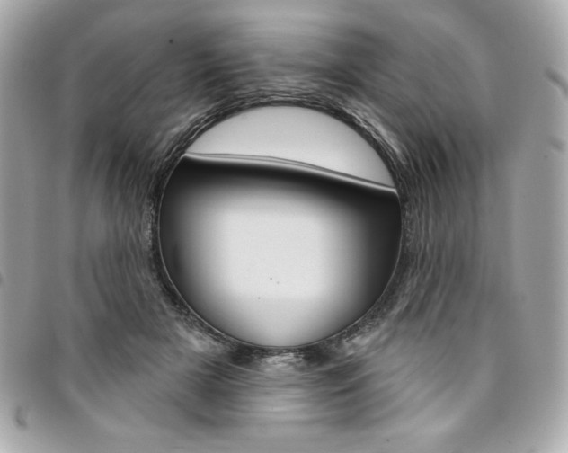 X0000095510505200712140937