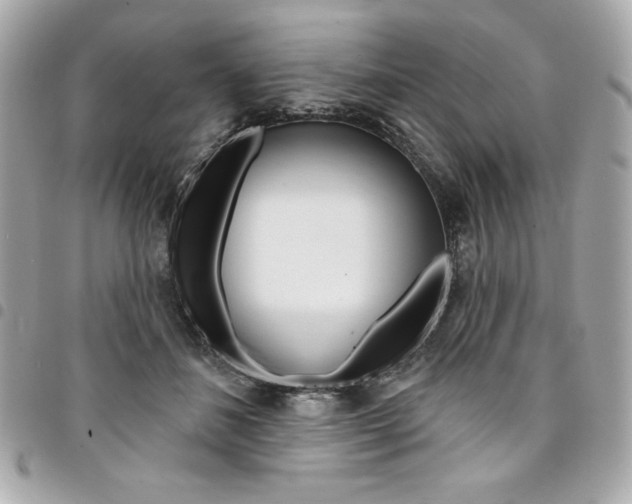 X0000095510508200712140937