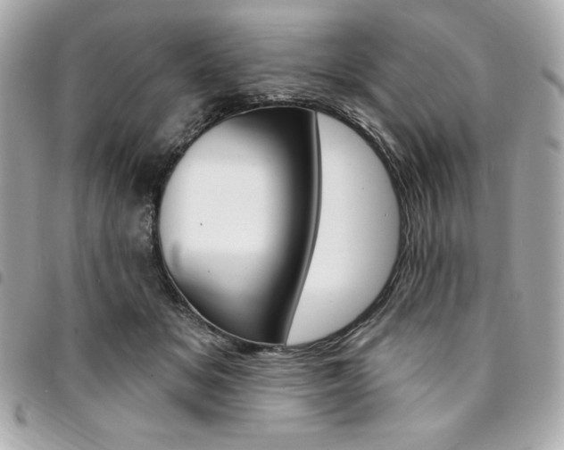 X0000095510509200712140937
