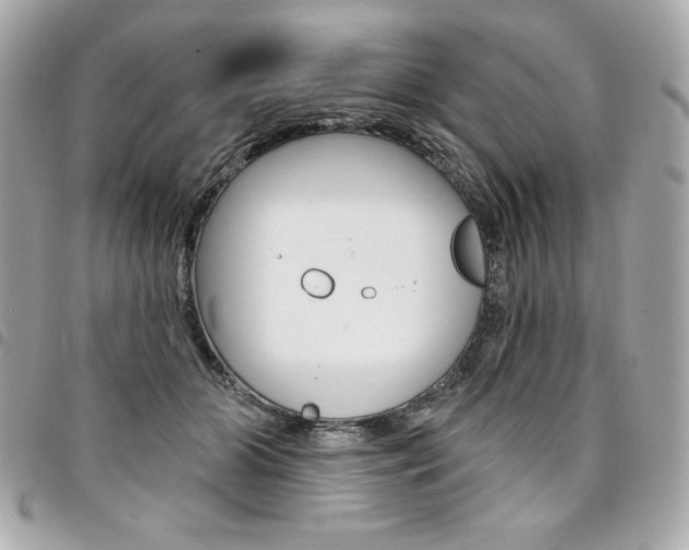 X0000095510510200712140937