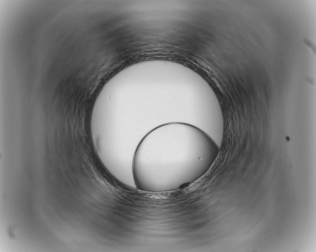 X0000095510512200712140937