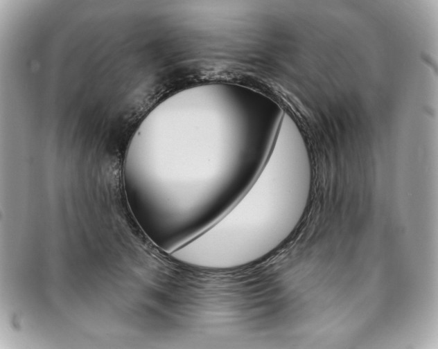 X0000095510513200712140937