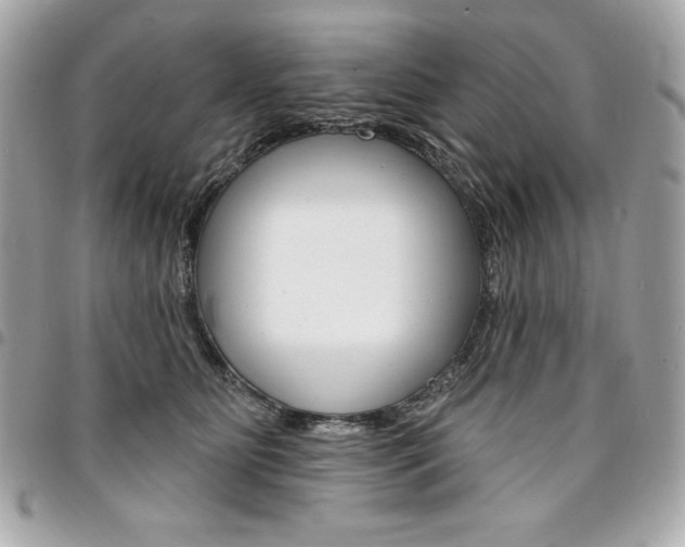 X0000095510515200712140937