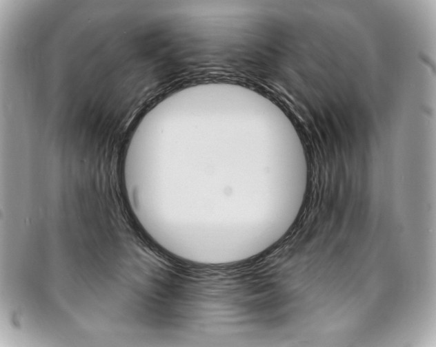 X0000095510516200712140937