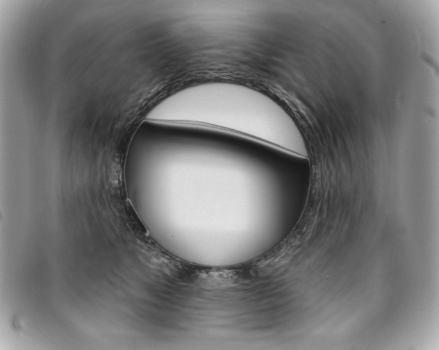 X0000095510517200712140937