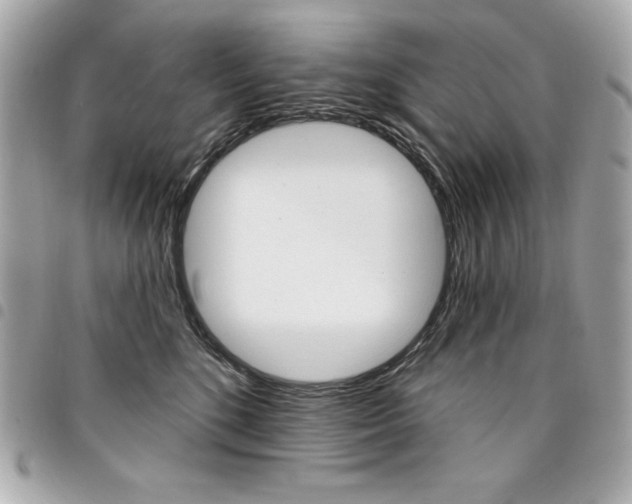 X0000095510520200712140937