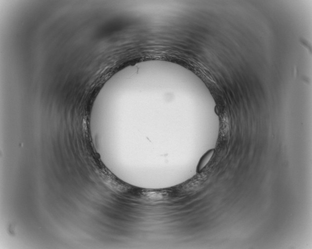 X0000095510522200712140937