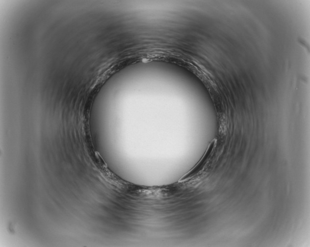 X0000095510524200712140937
