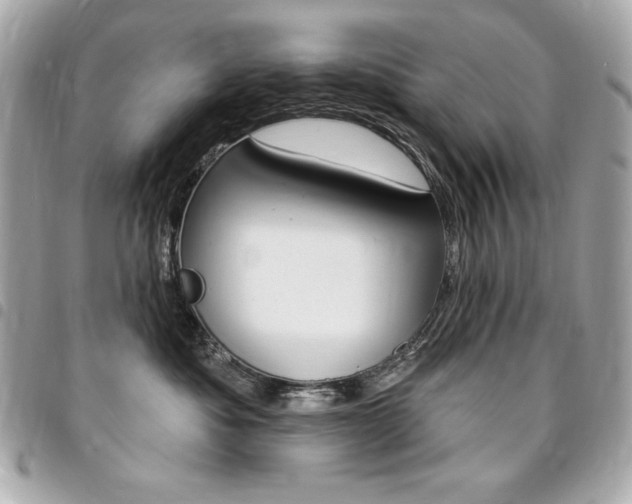 X0000095510525200712140937