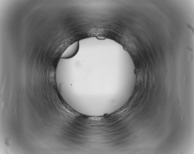X0000095510526200712140937