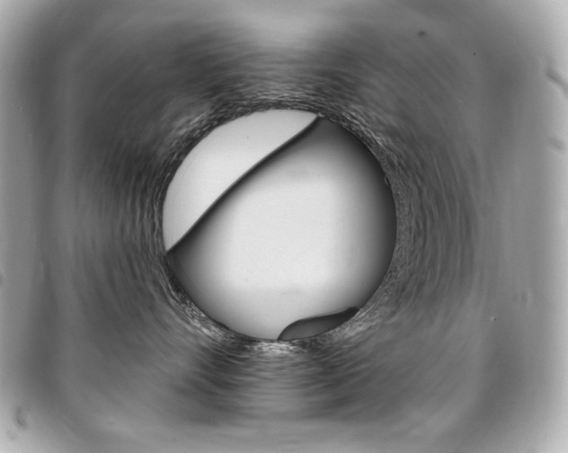 X0000095510528200712140937