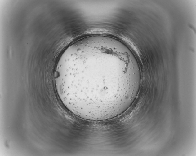 X0000095510529200712140936