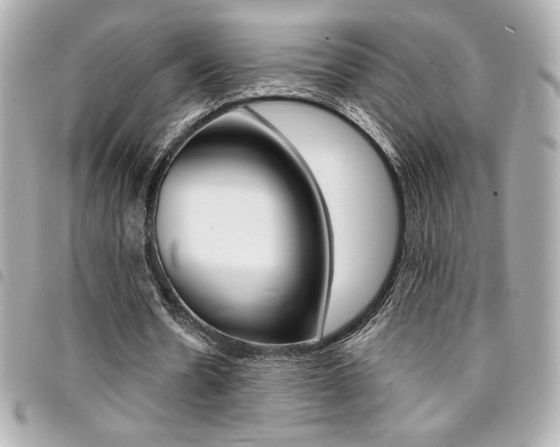 X0000095510530200712140936