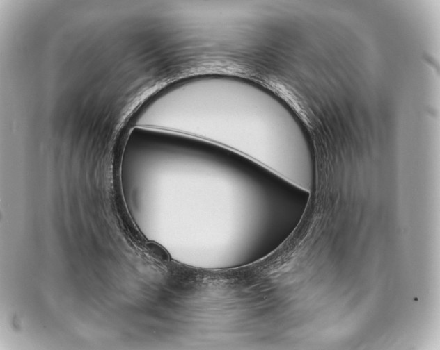 X0000095510531200712140936