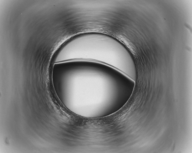 X0000095510532200712140936