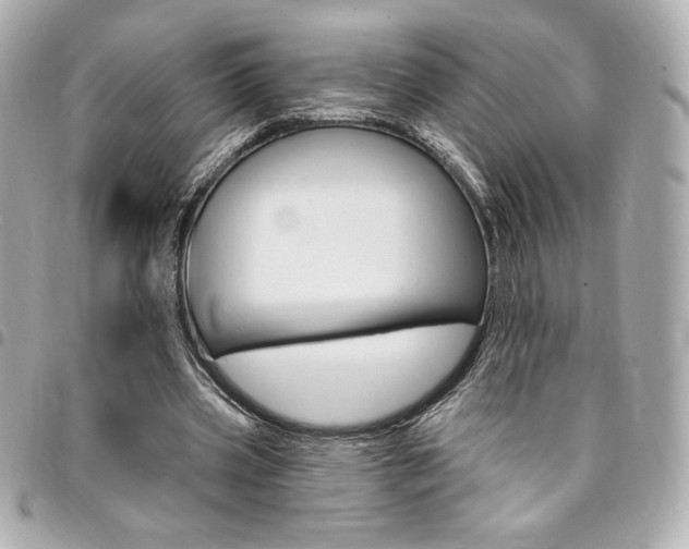 X0000095510533200712140936