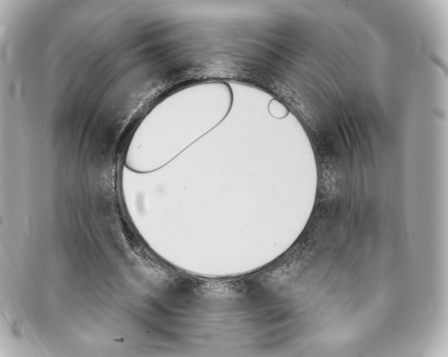 X0000095510534200712140936
