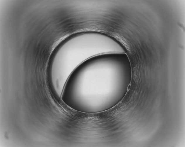 X0000095510536200712140936