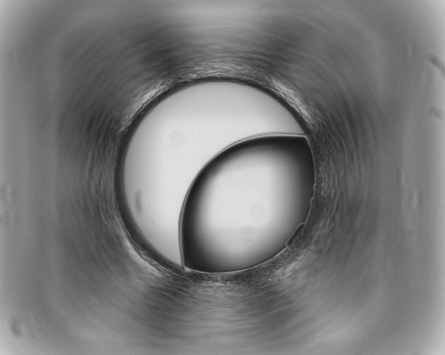 X0000095510538200712140937