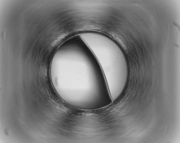 X0000095510539200712140937