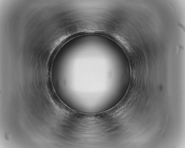 X0000095510540200712140937