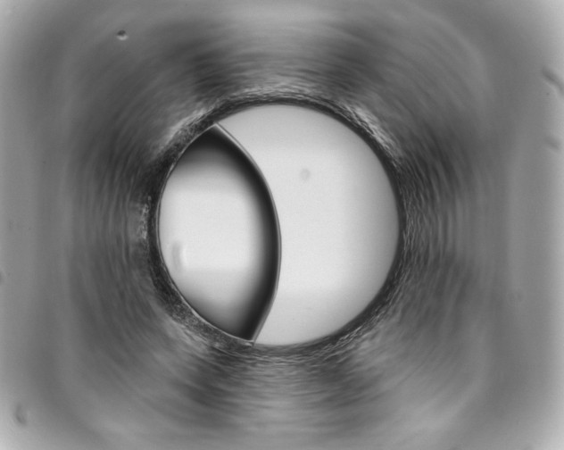 X0000095510543200712140937