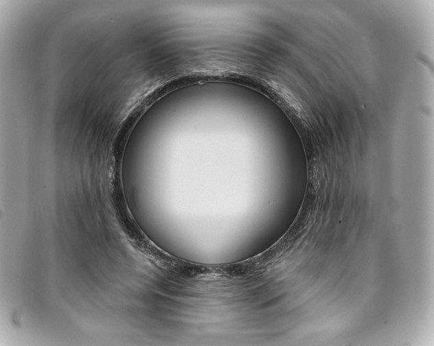 X0000095510544200712140937