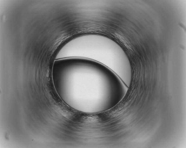 X0000095510548200712140937