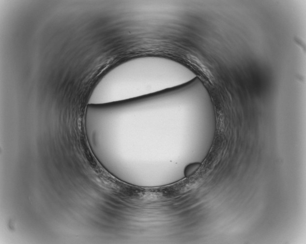 X0000095510549200712140937
