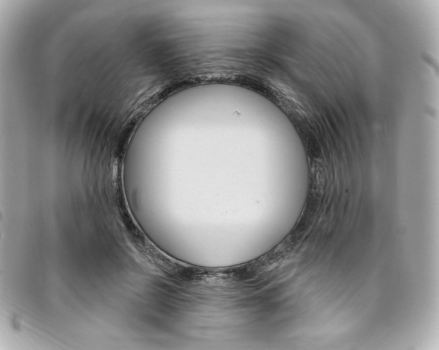 X0000095510550200712140937