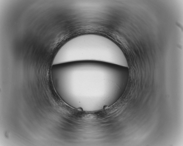 X0000095510551200712140937