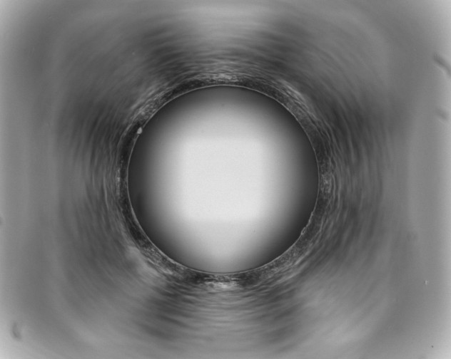 X0000095510552200712140937